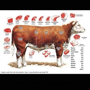 Meet your Posher, Loran